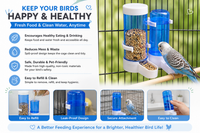 Automatic Water Dispenser For Birds